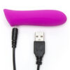 Lovehoney Ignite 20 Function Bullet Vibrator