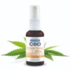 ACCESS CBD OIL NATURAL 600MG