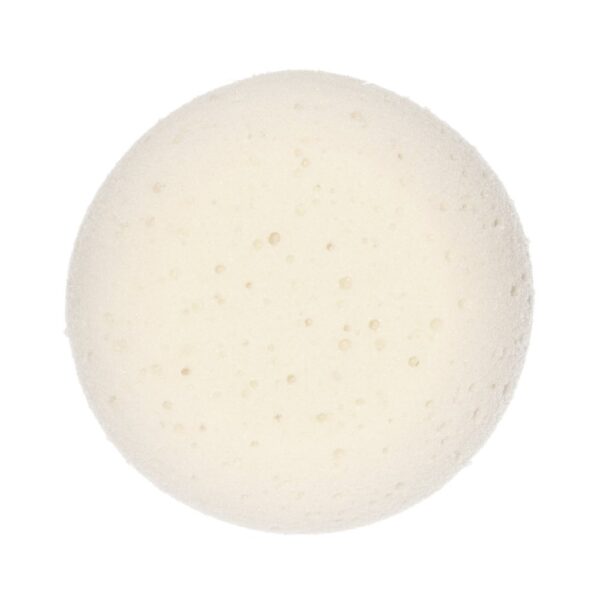 BODY & BEAUTY SPONGE