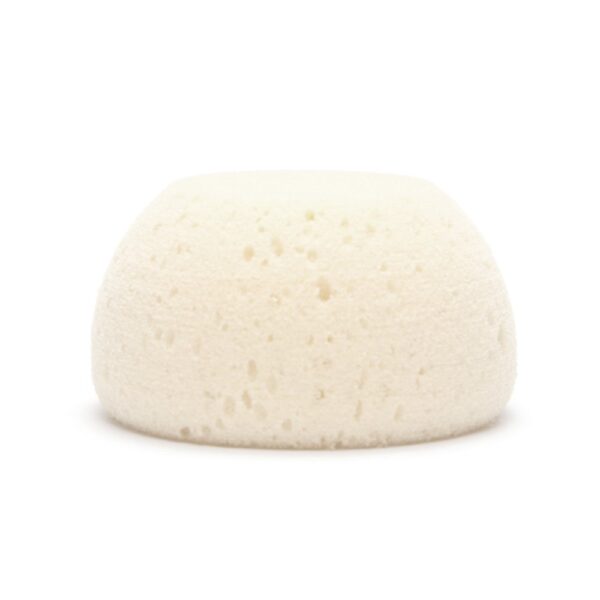 BODY & BEAUTY SPONGE