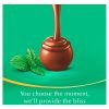 Lindt Lindor Milk Mint 200G