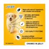 Pedigree Puppy Wet Dog Food Tins Mixed In Jelly 6 x 400g