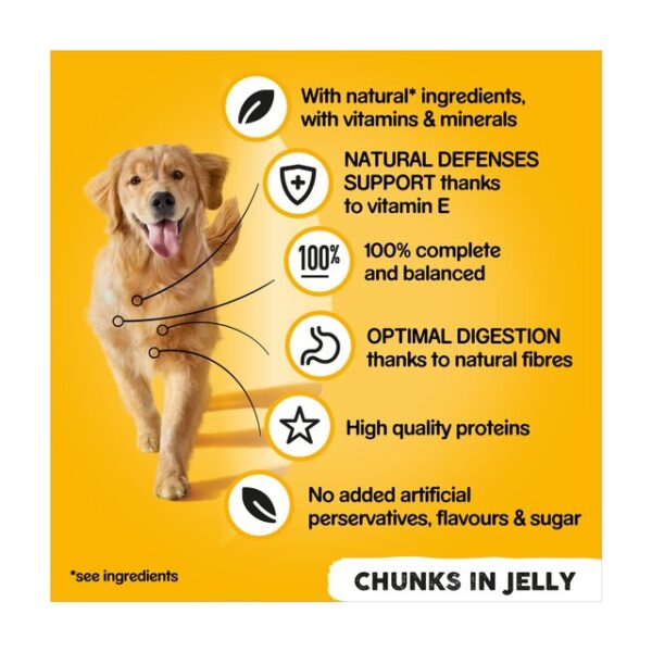 Pedigree Adult Wet Dog Food Tins Mixed in Jelly 6 x 385g