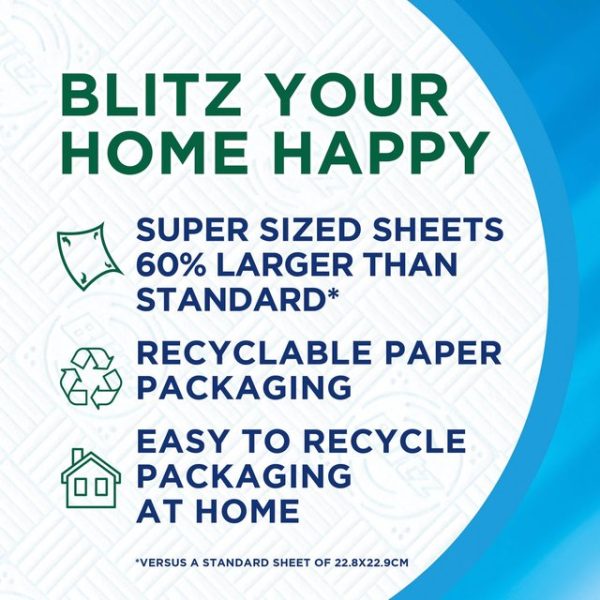 Regina Blitz Household Towel 3 per pack