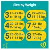 Pampers Active Fit Nappy Pants Size 5 Jumbo+ Pack 44 Pants