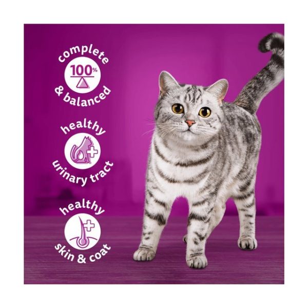 Whiskas Adult Wet Cat Food Chicken in Jelly Tin 400g