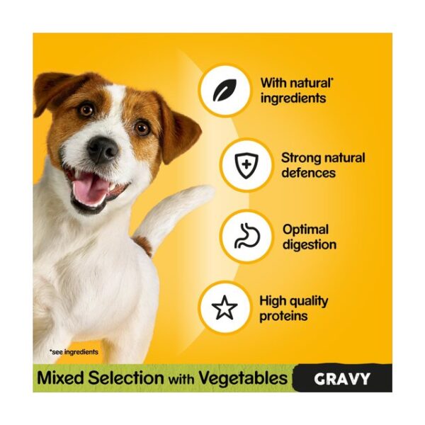 Pedigree Adult Wet Dog Food Pouches Mixed Selection in Gravy 12 x 100g