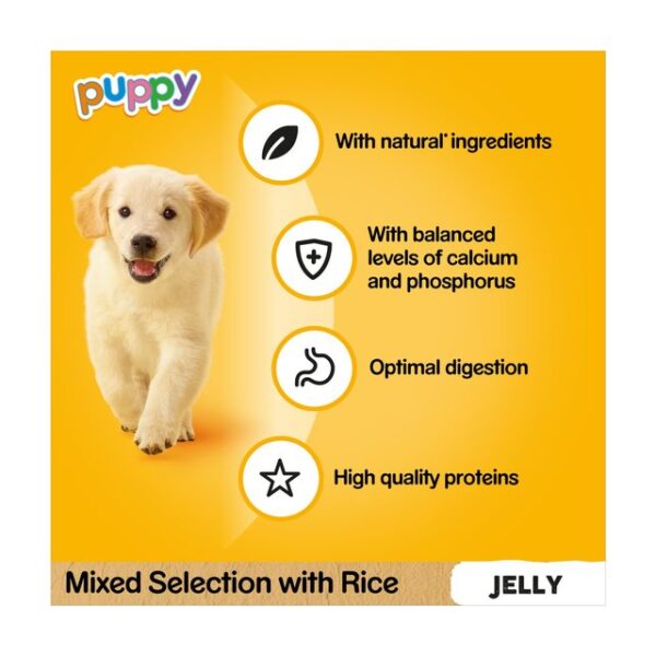 Pedigree Puppy Wet Dog Food Pouches Mixed in Jelly 12 x 100g