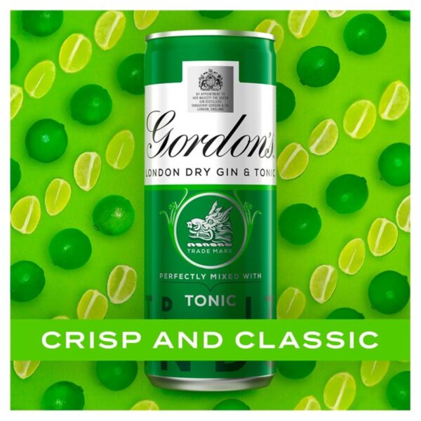 Gordons Gin & Schweppes Tonic 250ml