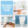 Febreze Vanilla & Magnolia Air Freshener Mist Spray 300ml