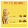 Go-Cat Chicken & Duck Dry Cat Food 320g