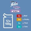 Felix Kitten Mixed Selection Pouches in Jelly 12 x 100g