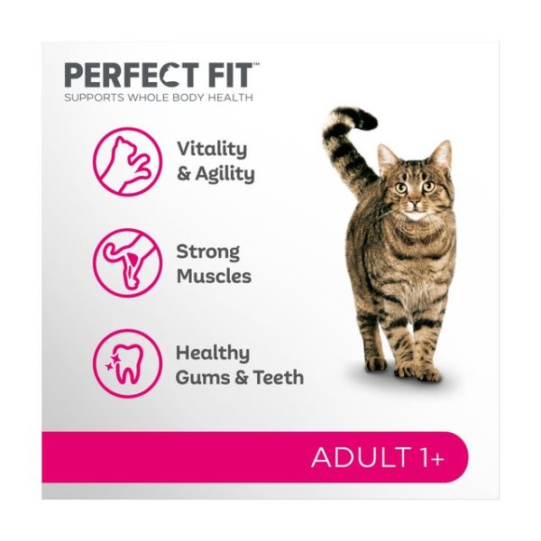 Perfect Fit Advanced Nutrition Adult Complete Dry Cat Food Salmon 750g