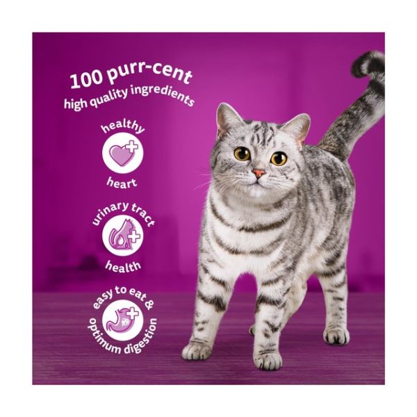 Whiskas Senior 11+ Poultry Feasts Pouches in Jelly 12 x 85g