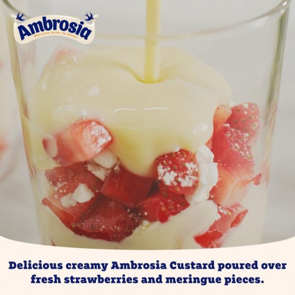 Ambrosia Devon Custard 500g