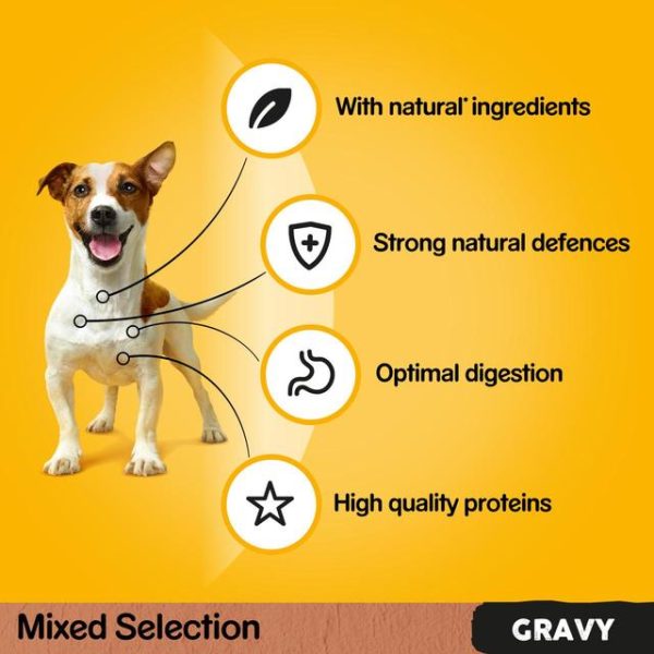 Pedigree Wet Dog Food Pouches with Beef, Liver and Vegetables in Gravy 12 x 100g