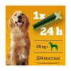 Pedigree Large Dog Dentastix Fresh 21 Stick 810G