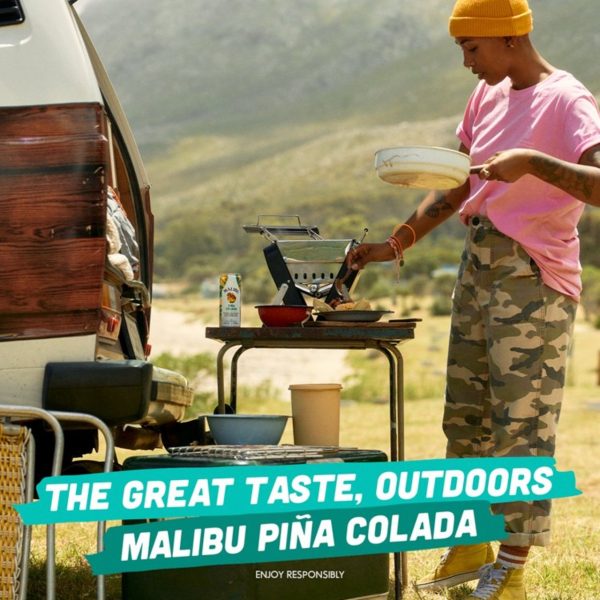 Malibu Pina Colada Pre-Mixed Can 250ml