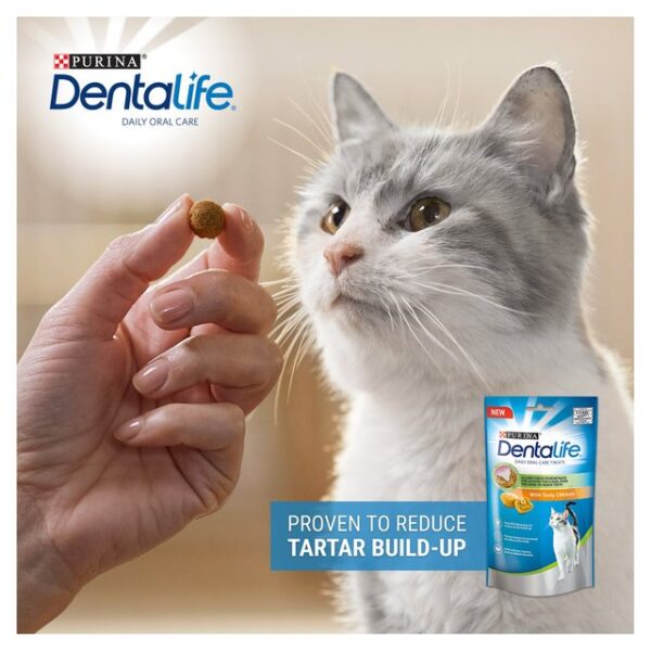 Dentalife Dental Treats For Cats Chicken 40g