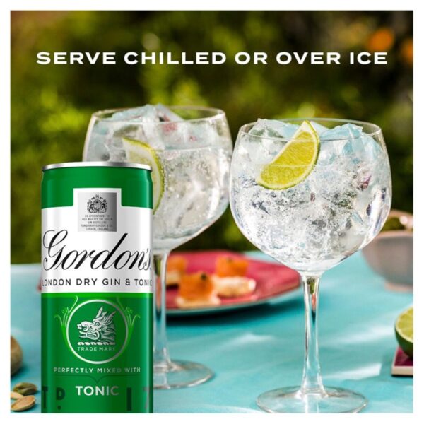 Gordons Gin & Schweppes Tonic 250ml