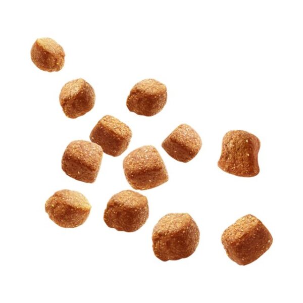 Pedigree Tasty Minis Puppy Dog Treats Chicken Chewy Cubes 125g