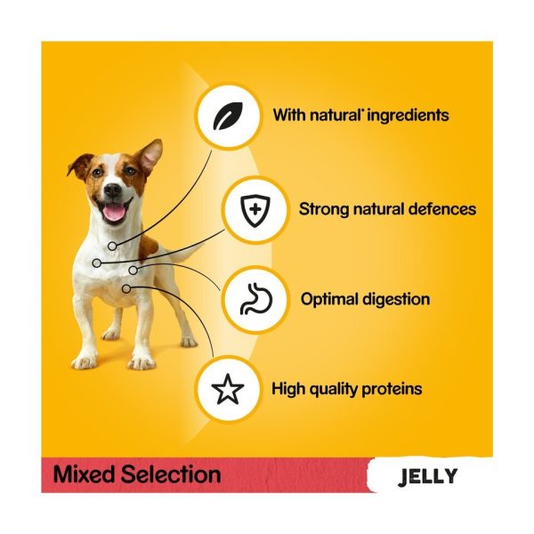 Pedigree Adult Wet Dog Food Pouches Mixed in Jelly 12x100g