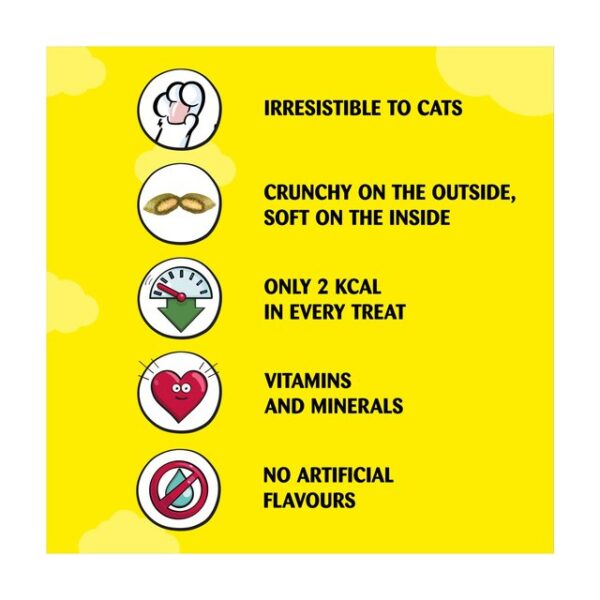 Dreamies Cat Treats With Catnip 60g