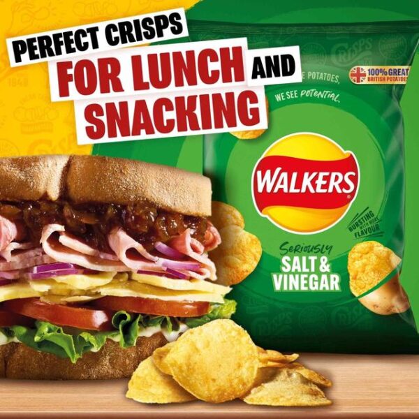 Walkers Salt Vinegar 45g