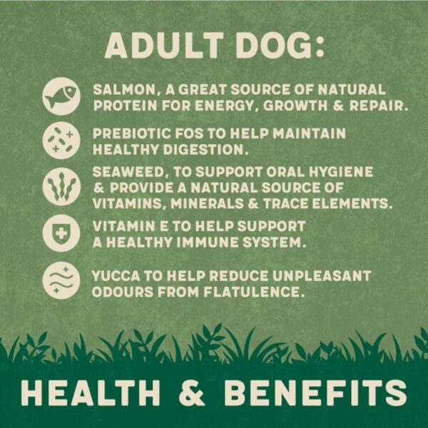 Harringtons Dry Adult Dog Food Rich in Salmon & Potato 1.7kg