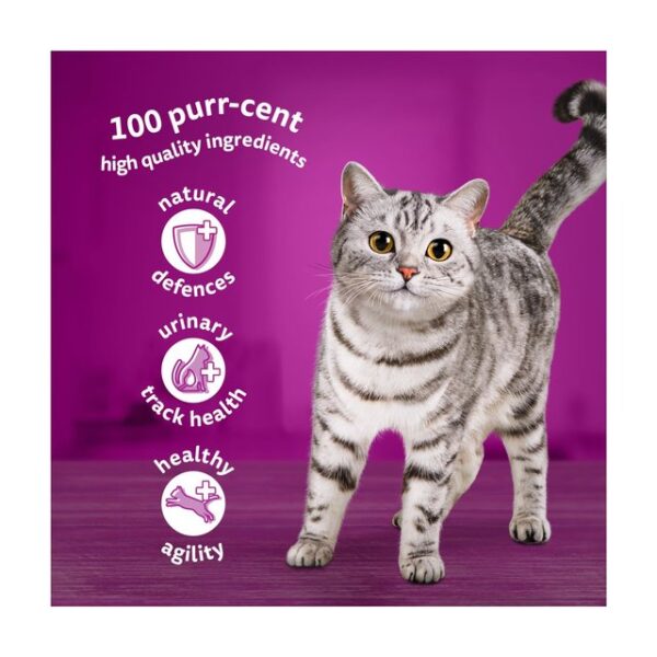 Whiskas Senior 7+ Poultry Feasts Pouches in Gravy 12 x 85g