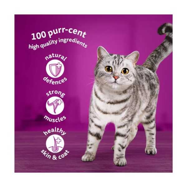 Whiskas 1+ Poultry Feasts Adult Wet Cat Food Pouches in Jelly 12 x 85g