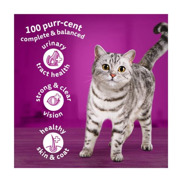 Whiskas 1+ Chicken Adult Dry Cat Food 1.9kg