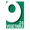 Oxo Vegetable Stock Cubes 24s 142g