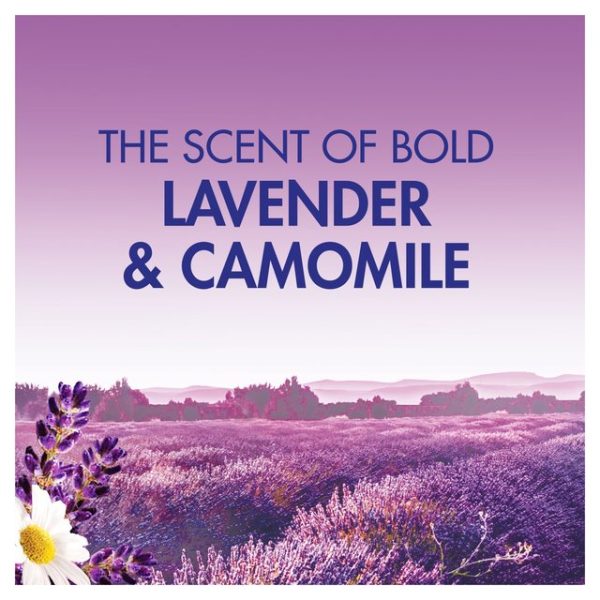 Bold All-In-1 Lavender & Camomile Washing Capsules 13 per pack