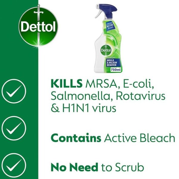 Dettol Antibacterial Disinfectant Mould & Mildew Remover Spray 750ml