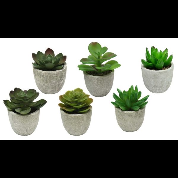 ARTIFICIAL SUCCULENTS 6 ASSTD