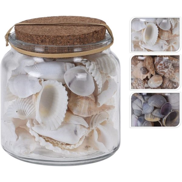 DECO SHELLS IN GLASS POT