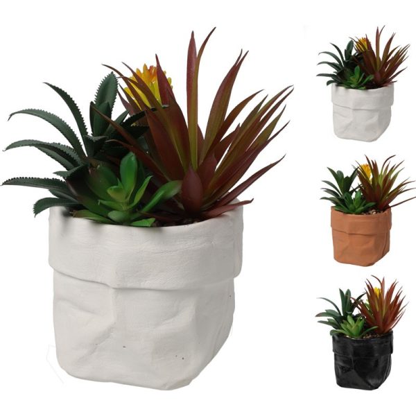 PLANT IN POT 20CM ASSORTED