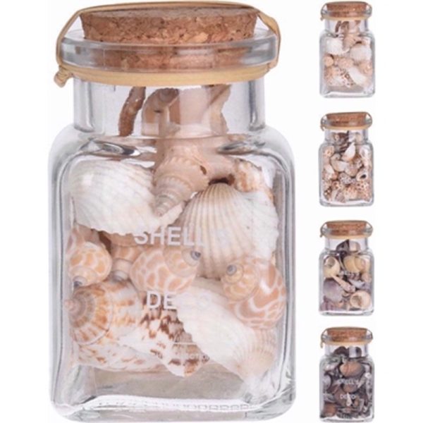 SHELLS IN GLASS JAR ASSTD