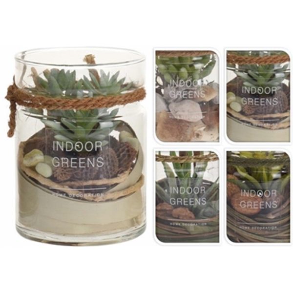 SUCCULENT PLANT IN GLASS POT