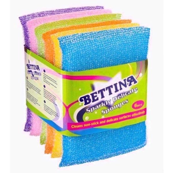 BETTINA SPONGE SPARKLY DELICATE 5 SCOURER