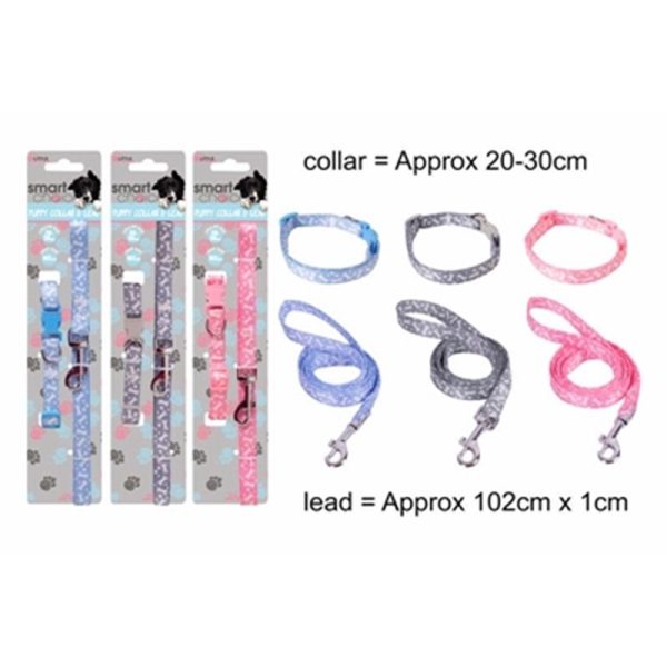 SMART CHOICE SMALL DOG LEAD/COLLAR SET