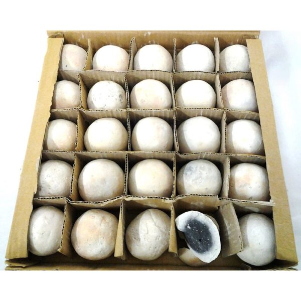 TANDOOR BALL 25PC TRAY