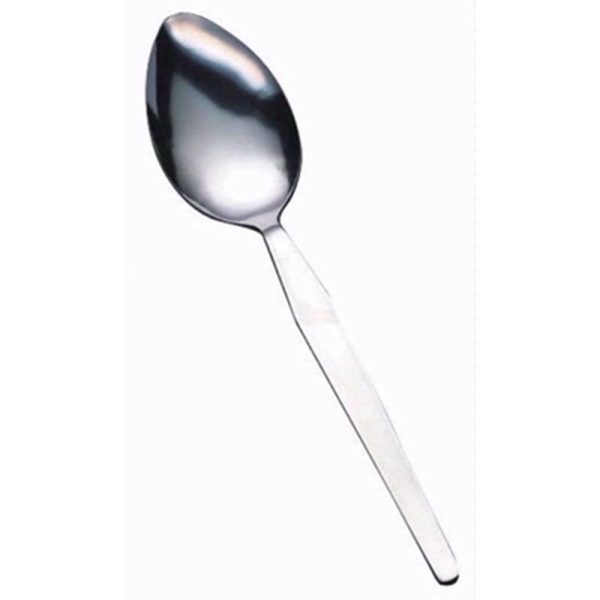 SUNNEX STAINLESS STEEL DESSERT SPOONS PACK OF 12