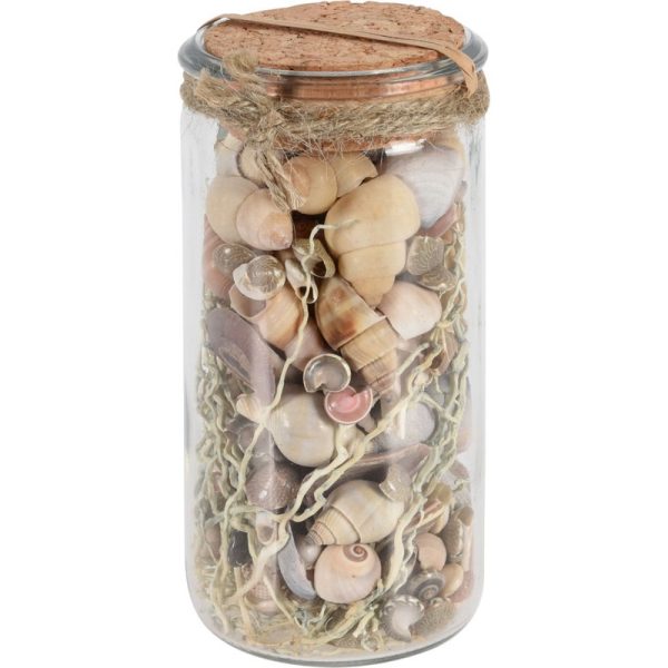 DECO SHEELS IN GLASS JAR ASSORTED