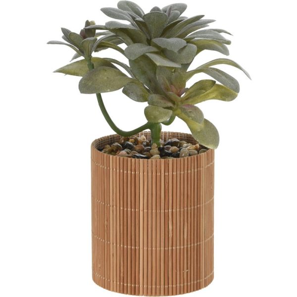 PLANT IN BAMBOO POT 8X8X19CM