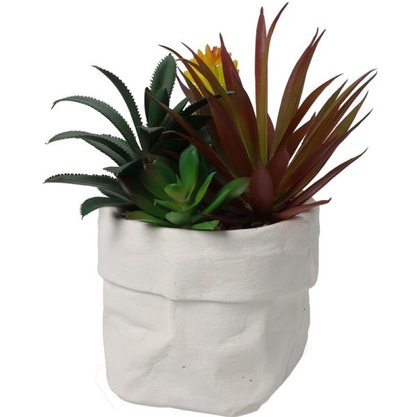 PLANT IN POT 20CM ASSORTED