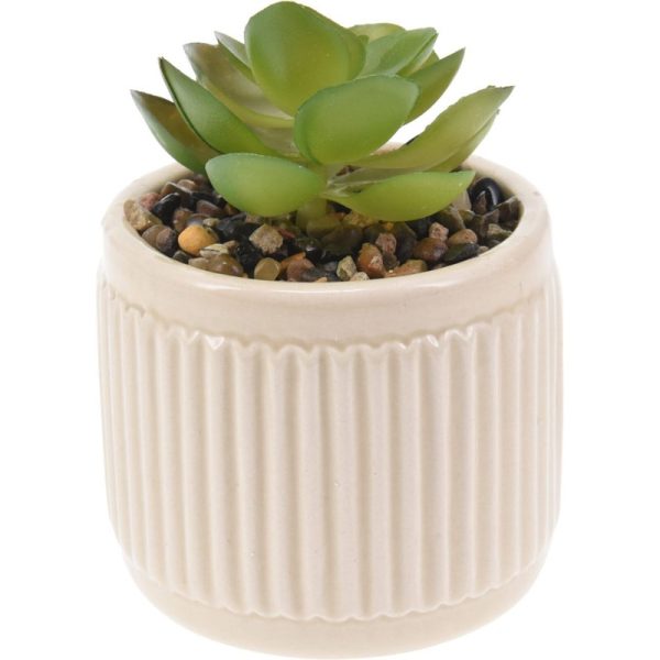 PLANT WITH POT DOLOMITE 7X9CM