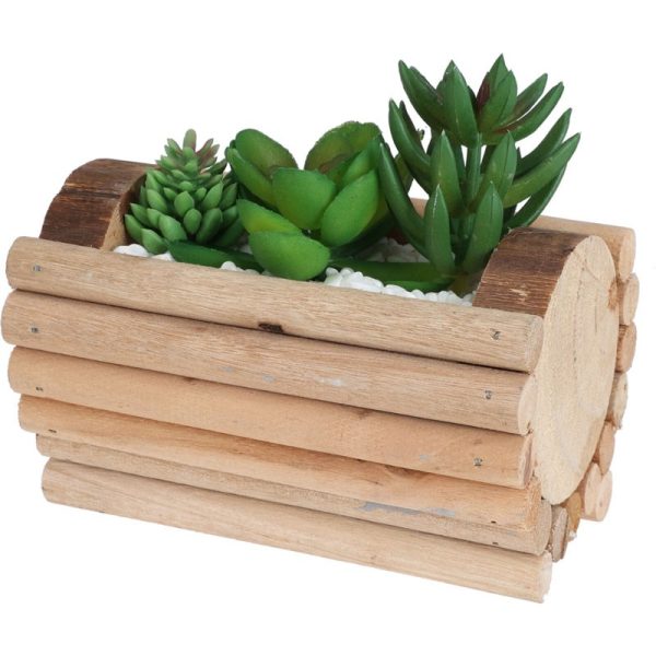 SUCCULENT IN BOX 3 ASSORTED 14CM