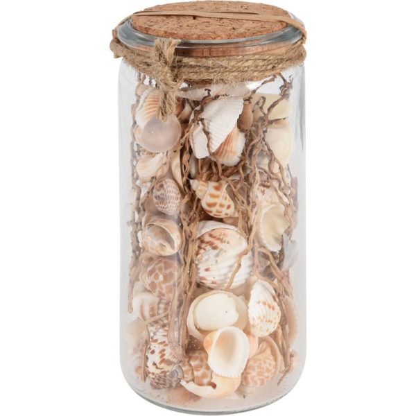 DECO SHEELS IN GLASS JAR ASSORTED